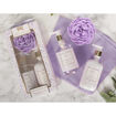 Picture of MADELAINE BATH & SHOWER PURPLE
